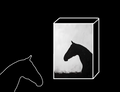 Dark Horse | 150-Piece Jigsaw Puzzle