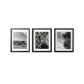 In Black & White | Set of 3 Unframed 8 × 10 Inch Art Prints