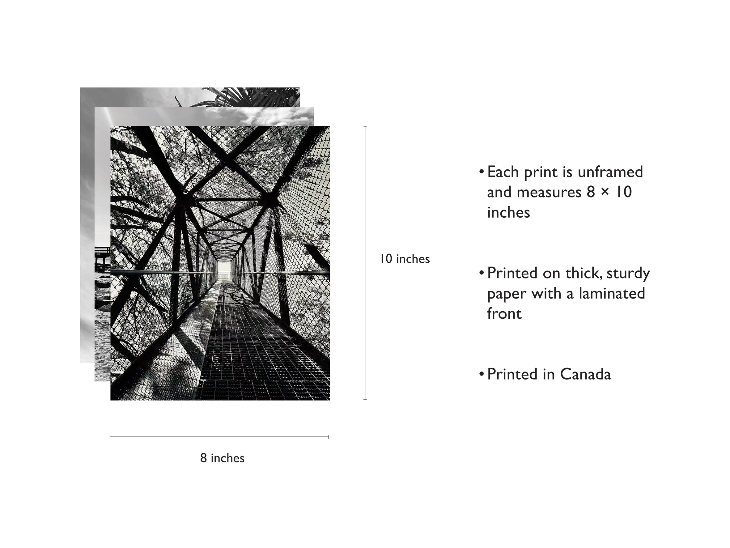 In Black & White | Set of 3 Unframed 8 × 10 Inch Art Prints