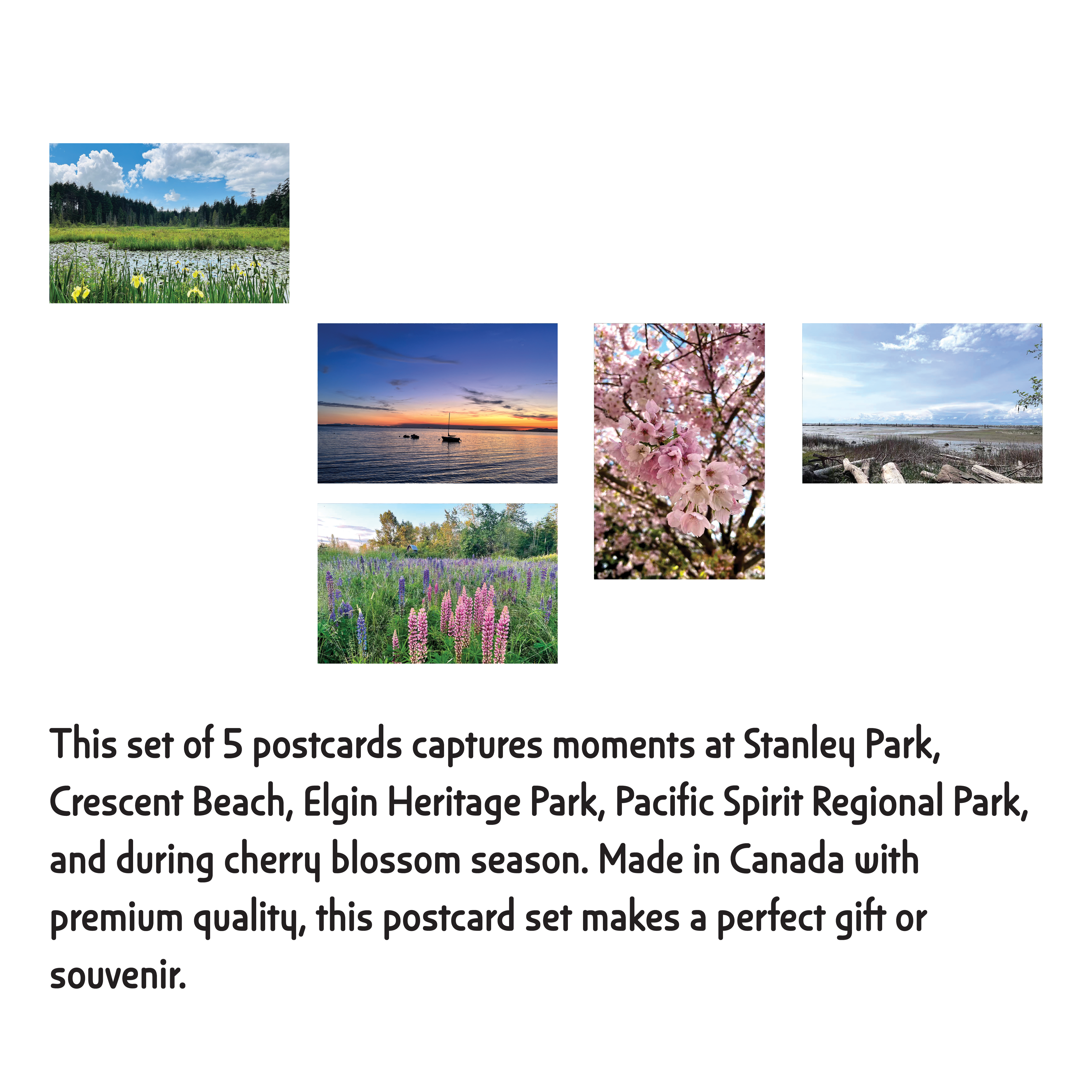 Moments of Metro Vancouver – Set of 5 Postcards